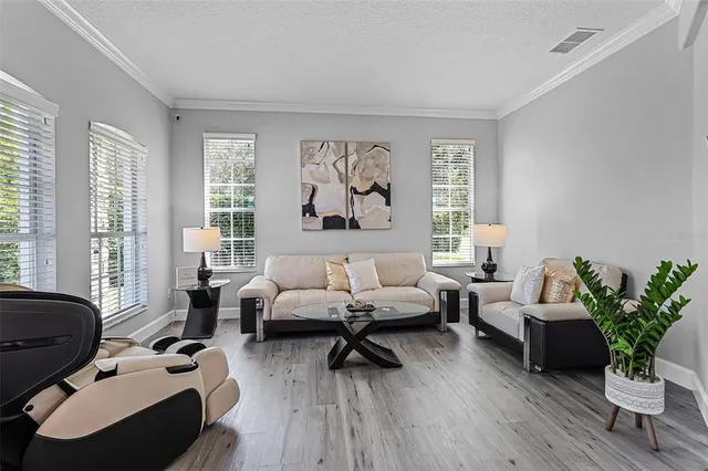 a living room with furniture potted plant and a large window