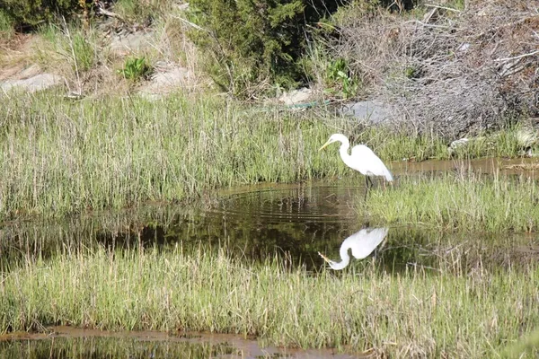 $449,000 | 0 George Washington Boulevard, Hingham, MA 02043