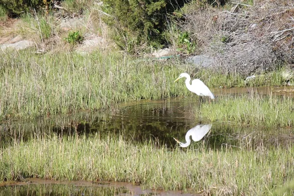 $449,000 | 0 George Washington Boulevard, Hingham, MA 02043