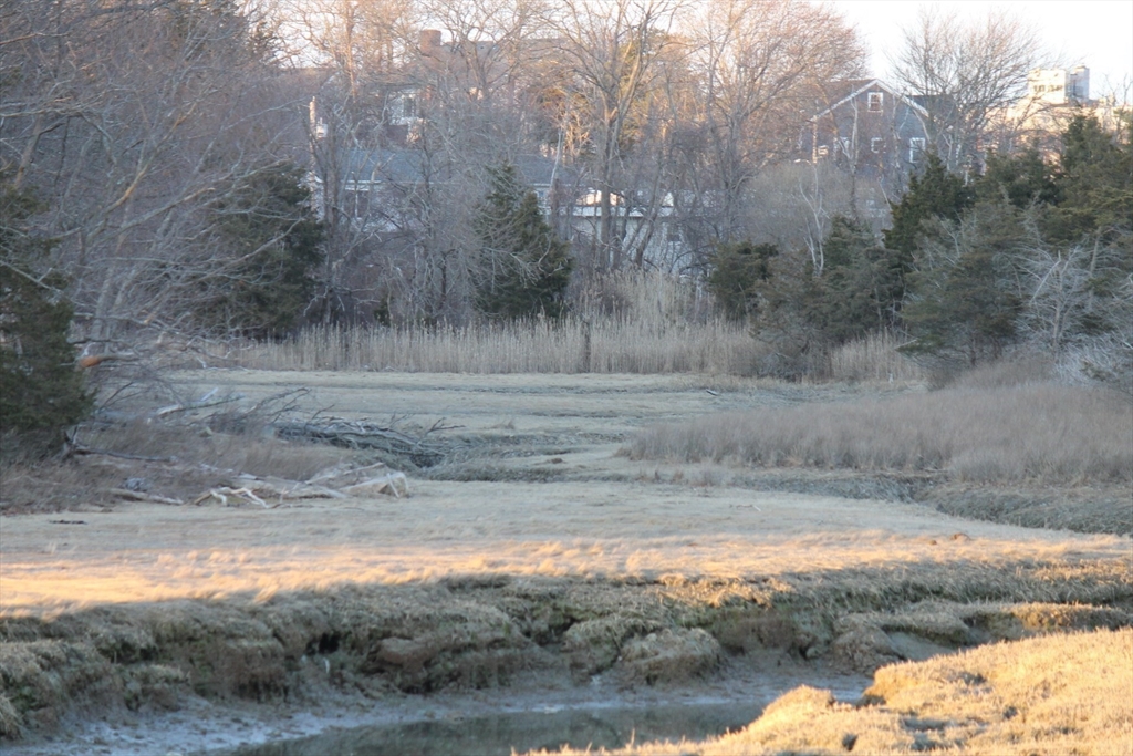 0 George Washington Boulevard Hingham, MA 02043 - Photo 16 of 20 a view of a yard with a lake view