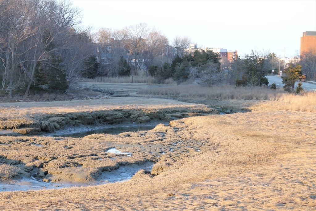 0 George Washington Boulevard Hingham, MA 02043 - Photo 17 of 20 a view of a yard