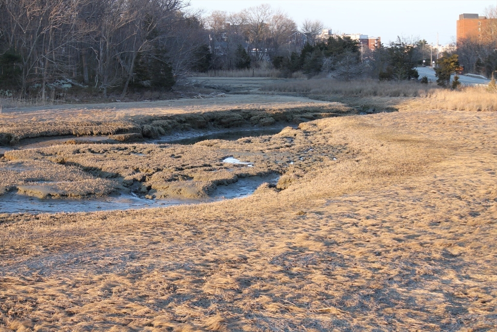 0 George Washington Boulevard Hingham, MA 02043 - Photo 19 of 20 a view of dirt road with a building