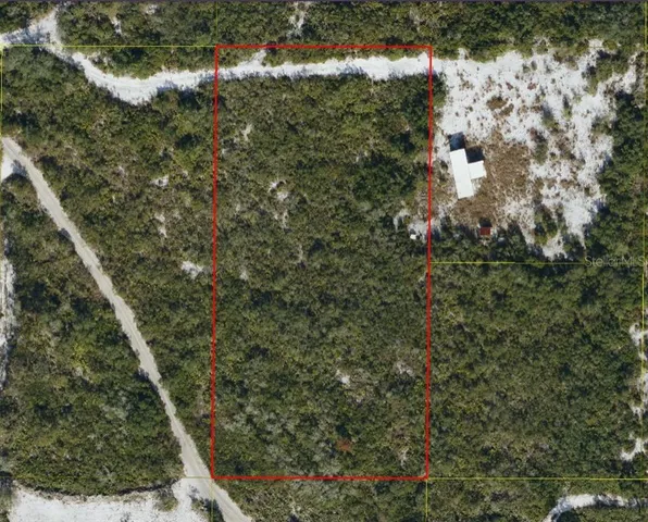 a view of a yard with plants