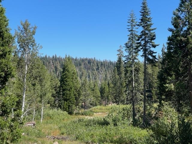 0 Big Creek Road Quincy, CA 95971 - Photo 10 of 19