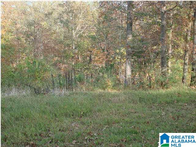 0 Ty Place, Unit 3 LOTS Ohatchee, AL 36271 - Photo 9 of 12