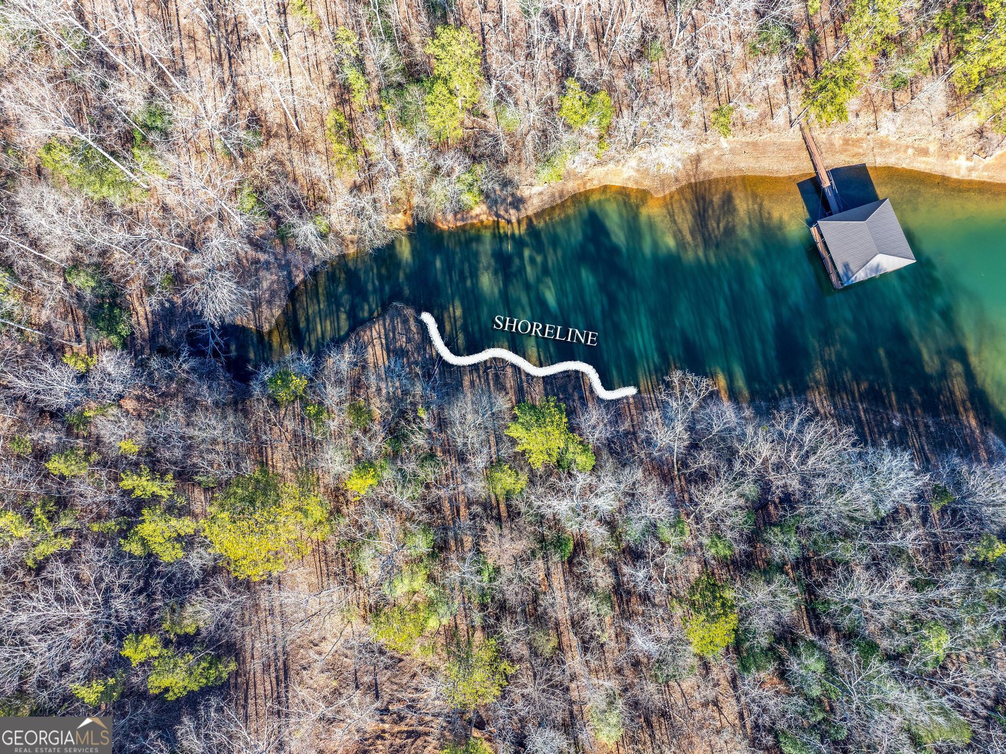395 Tom Cobb Drive Hartwell, GA 30643 - Photo 13 of 24 a view of yard with green space