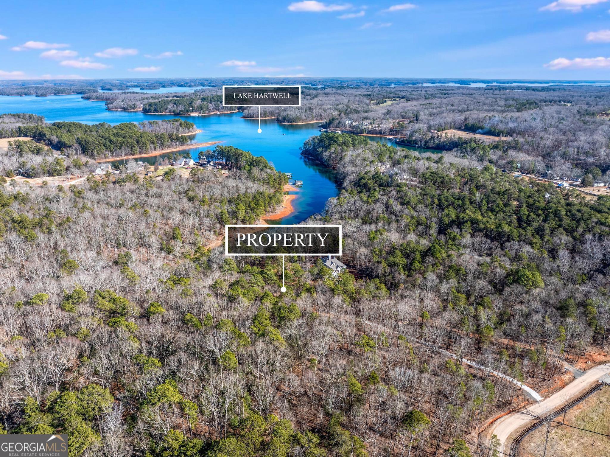 395 Tom Cobb Drive Hartwell, GA 30643 - Photo 14 of 24 a view of lake and mountain view in back