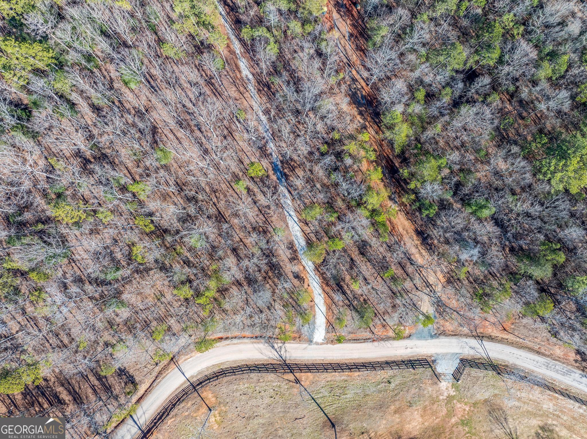 395 Tom Cobb Drive Hartwell, GA 30643 - Photo 16 of 24 a view of a yard with a tree