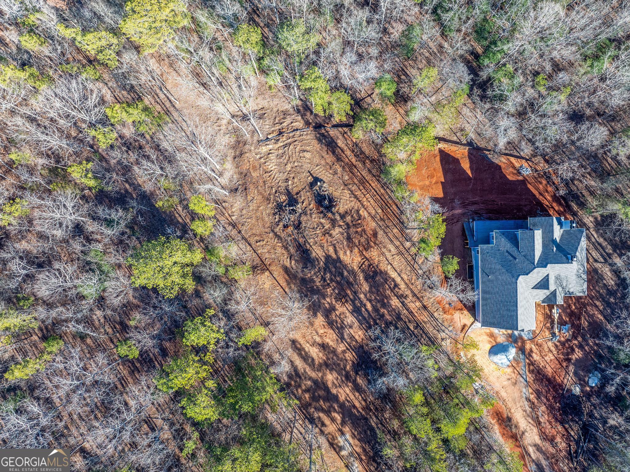 395 Tom Cobb Drive Hartwell, GA 30643 - Photo 17 of 24 a backyard of a house with lots of green space