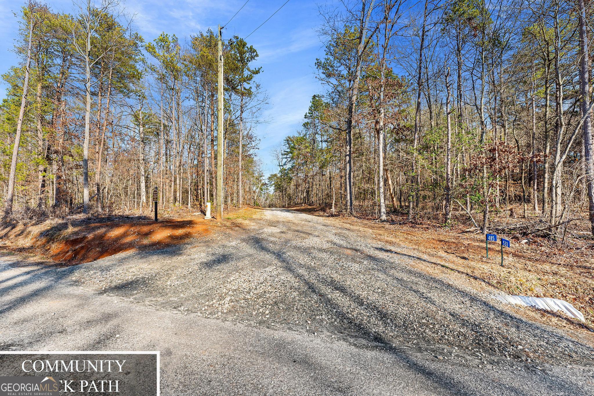 395 Tom Cobb Drive Hartwell, GA 30643 - Photo 18 of 24 a view of a backyard with large trees
