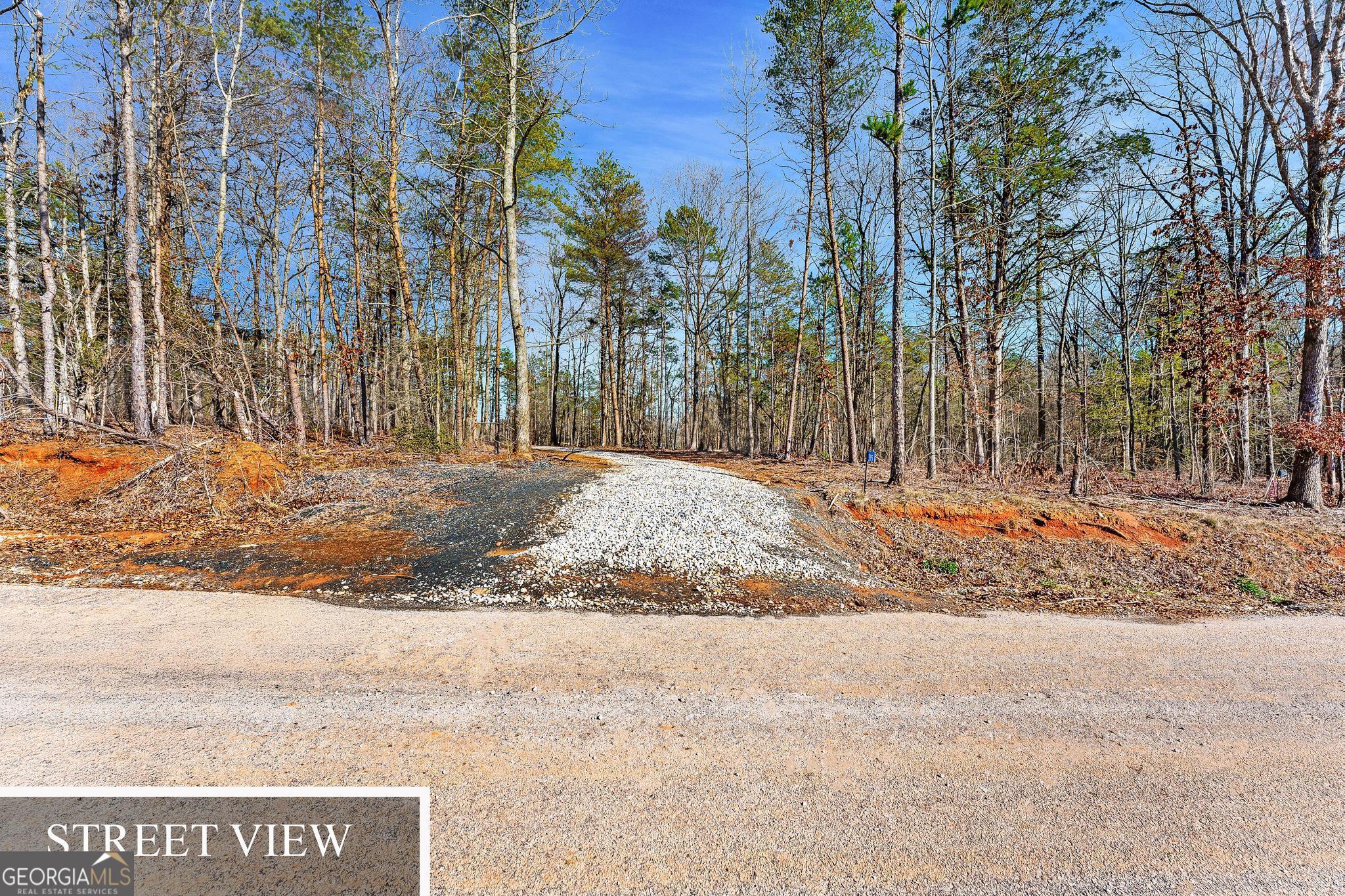 395 Tom Cobb Drive Hartwell, GA 30643 - Photo 4 of 24 a view of a backyard of the house