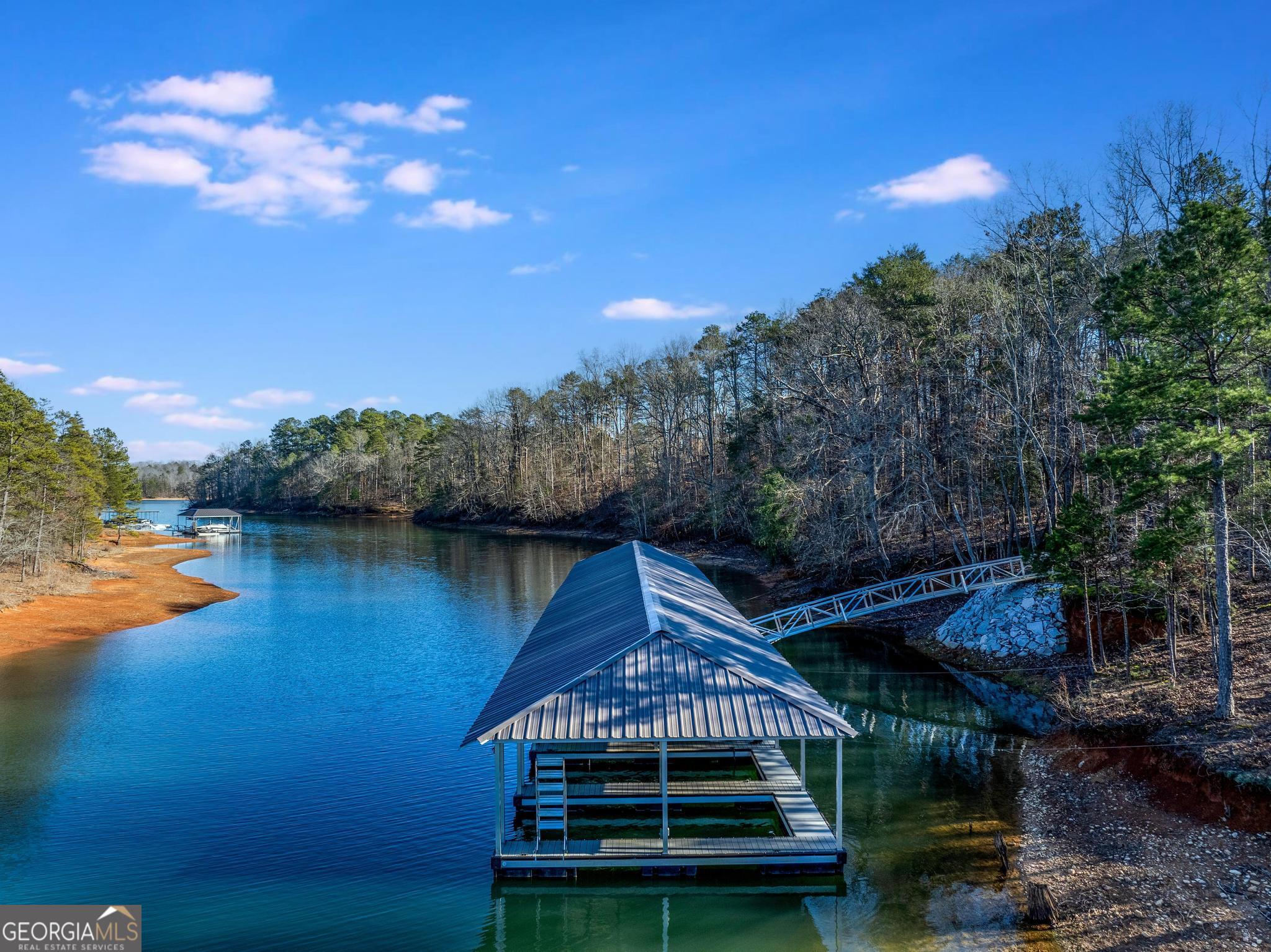 395 Tom Cobb Drive Hartwell, GA 30643 - Photo 8 of 24 a view of a house with pool and lake view