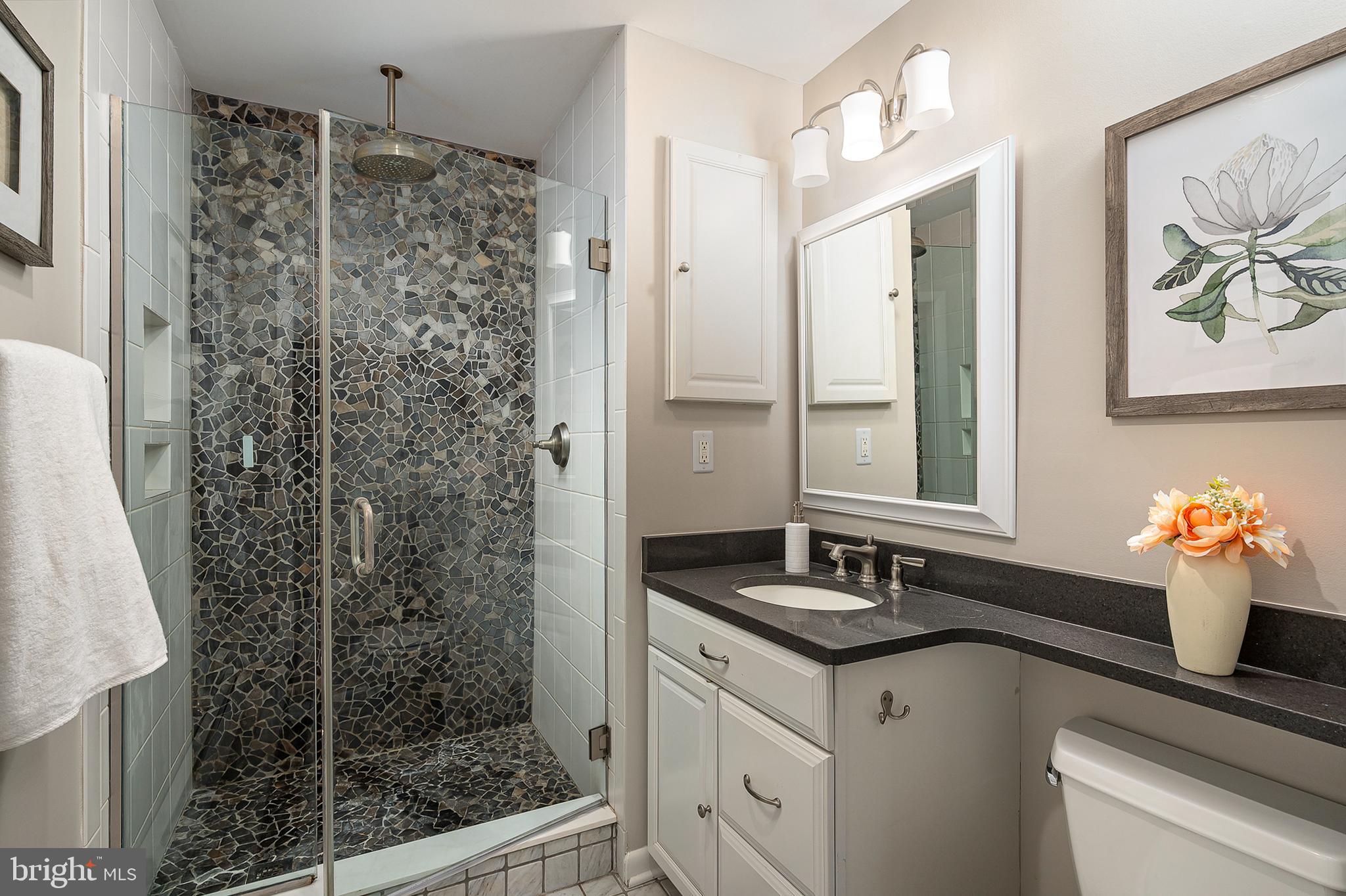 3901 Chatham Road Ellicott City, MD 21042 - Photo 23 of 41 Primary Bath