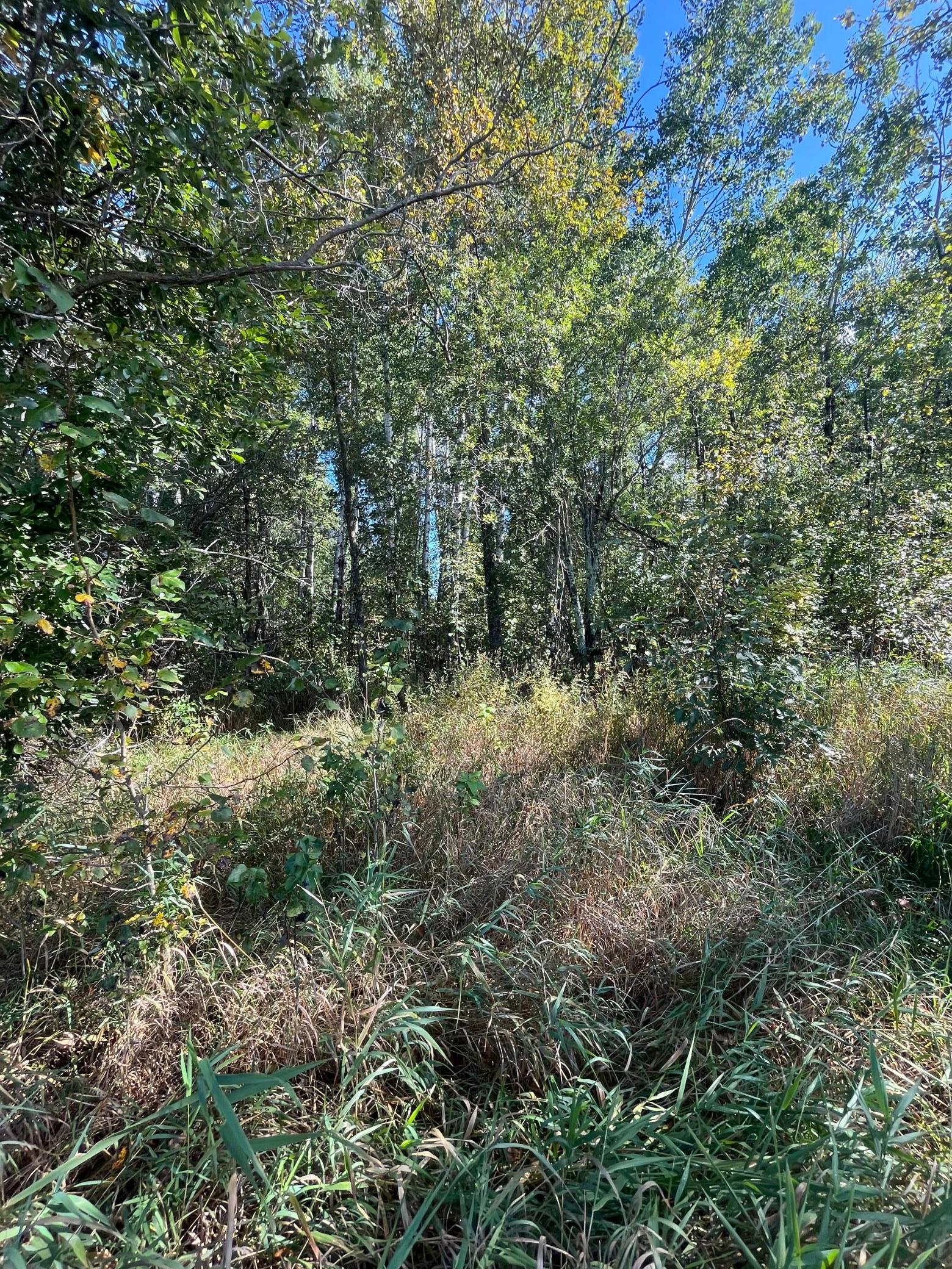 1 East Pine Drive Angle Inlet, MN 56711 - Photo 21 of 21