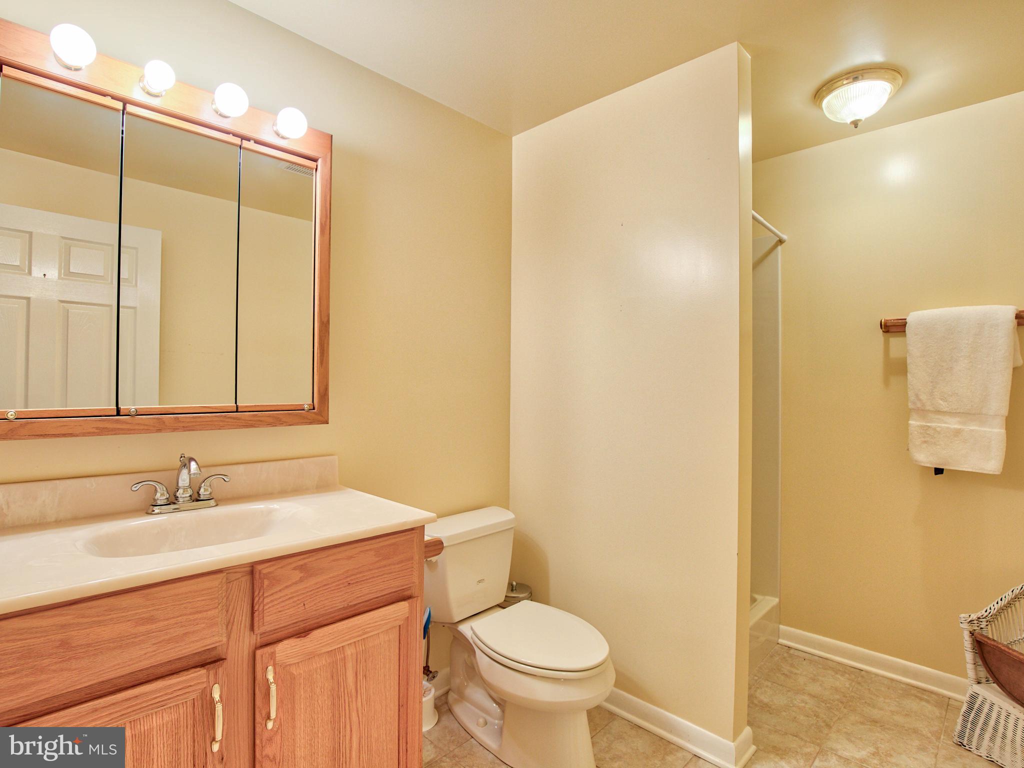 6485 Summit Point Road Charles Town, WV 25414 - Photo 43 of 71 Gallery Image 43