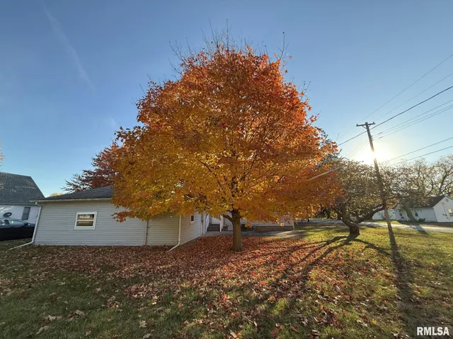 $85,000 | 390 South Jefferson Street, Roseville, IL 61473