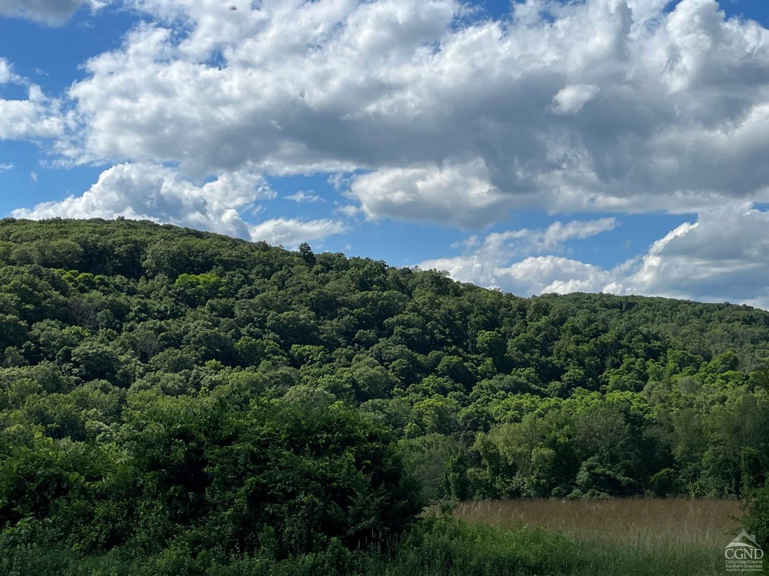 0 Perrys Corners Road Amenia, NY 12501 - Photo 12 of 20 Photo 12