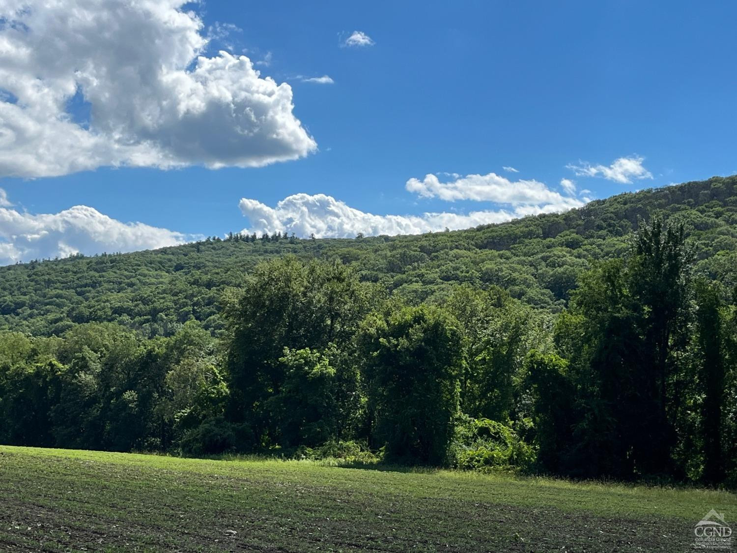 0 Perrys Corners Road Amenia, NY 12501 - Photo 13 of 20 Photo 13