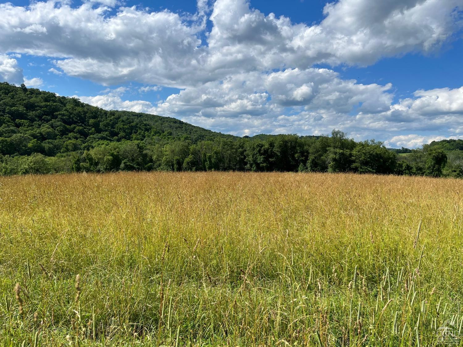 0 Perrys Corners Road Amenia, NY 12501 - Photo 15 of 20 Photo 15