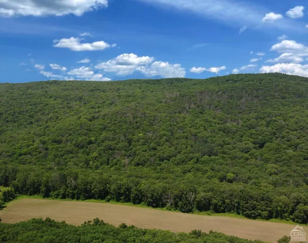 $1,900,000 | 0 Perrys Corners Road, Amenia, NY 12501