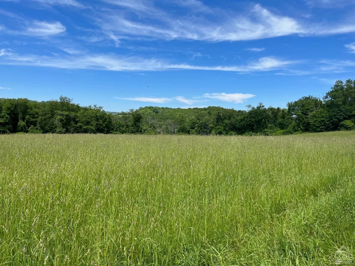 0 Perrys Corners Road Amenia, NY 12501 - Photo 5 of 20 Photo 5