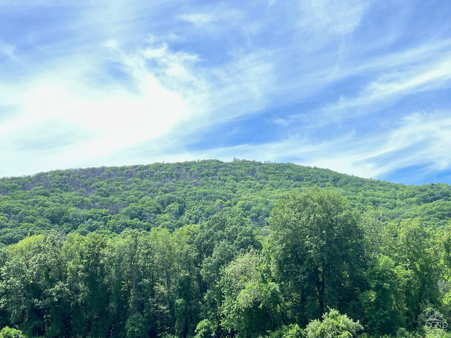 0 Perrys Corners Road Amenia, NY 12501 - Photo 8 of 20 Photo 8