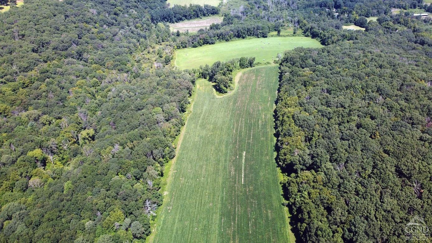 0 Perrys Corners Road Amenia, NY 12501 - Photo 10 of 20 Photo 10