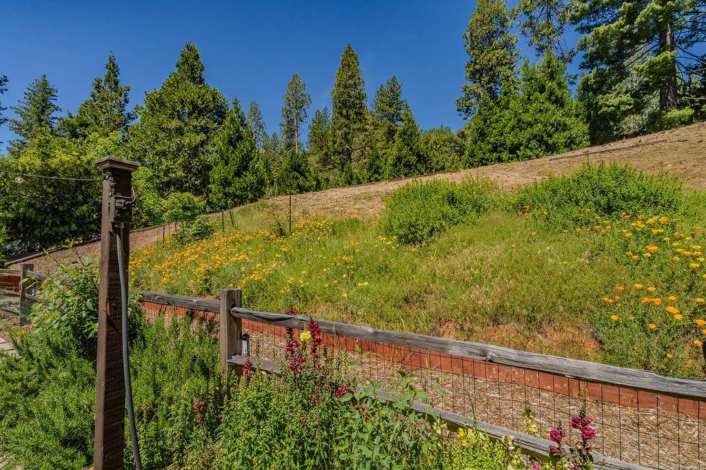 26845 Spring Court Pioneer, CA 95666 - Photo 64 of 89
