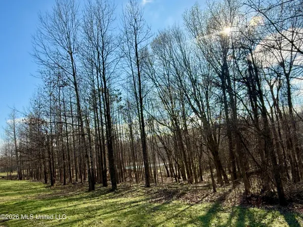 $255,000 | 2698 Bethel Church Road, Grenada, MS 38901