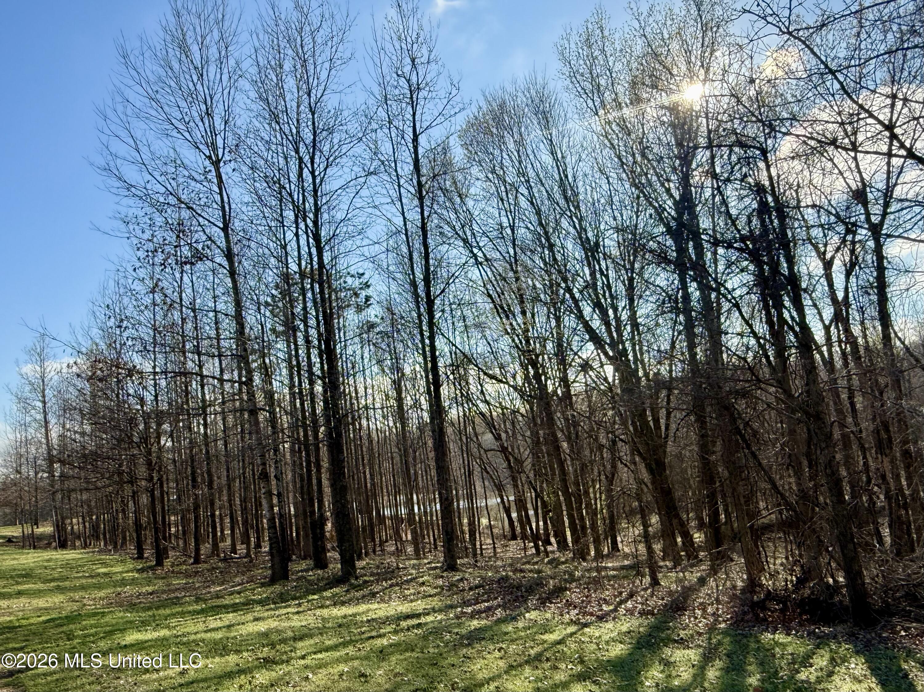 2698 Bethel Church Road Grenada, MS 38901 - Photo 34 of 50 IMG_6618