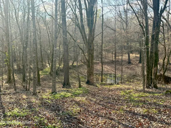 $255,000 | 2698 Bethel Church Road, Grenada, MS 38901