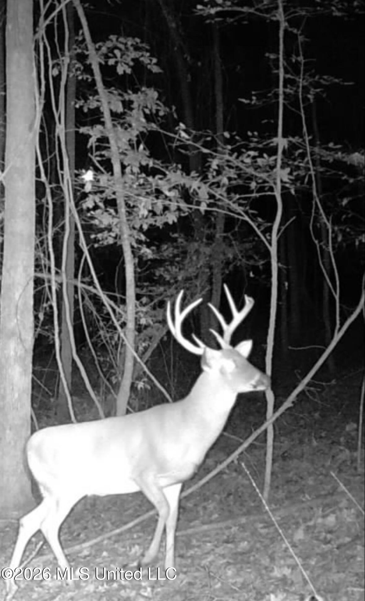 2698 Bethel Church Road Grenada, MS 38901 - Photo 39 of 50 IMG_2388