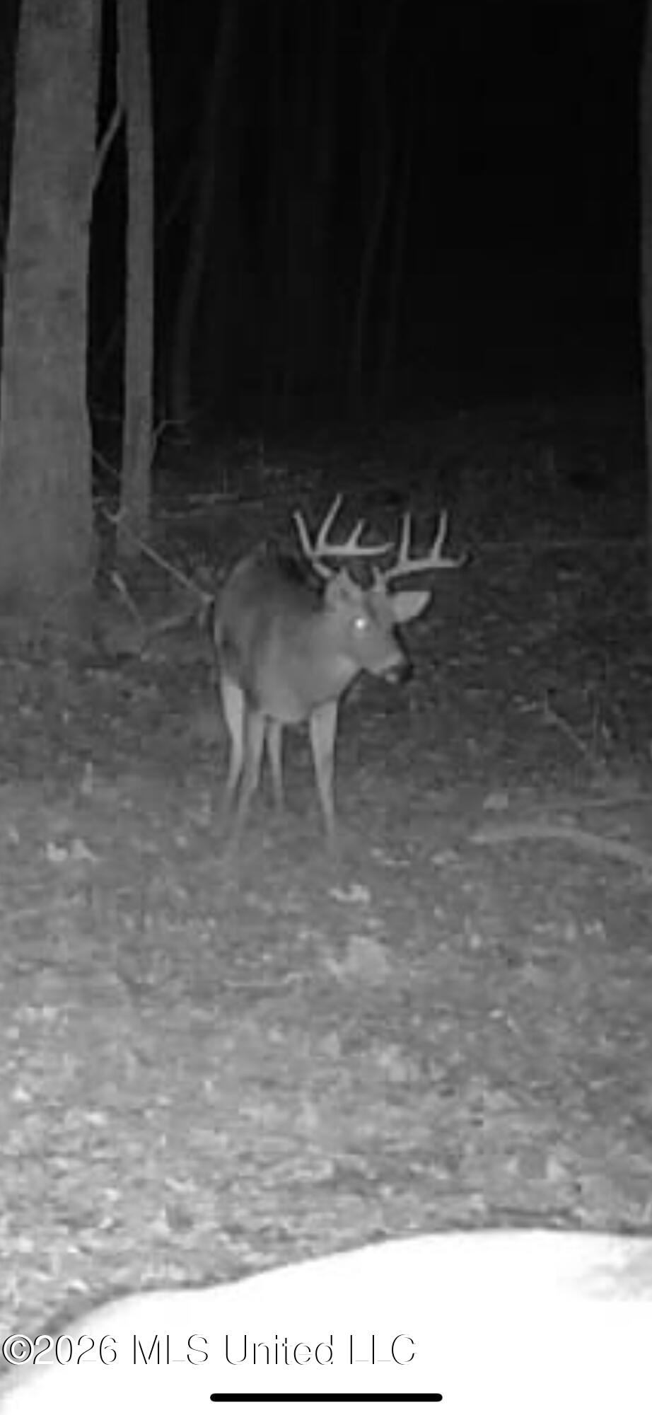 2698 Bethel Church Road Grenada, MS 38901 - Photo 40 of 50 IMG_7018