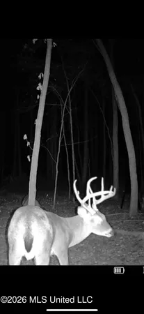 $255,000 | 2698 Bethel Church Road, Grenada, MS 38901