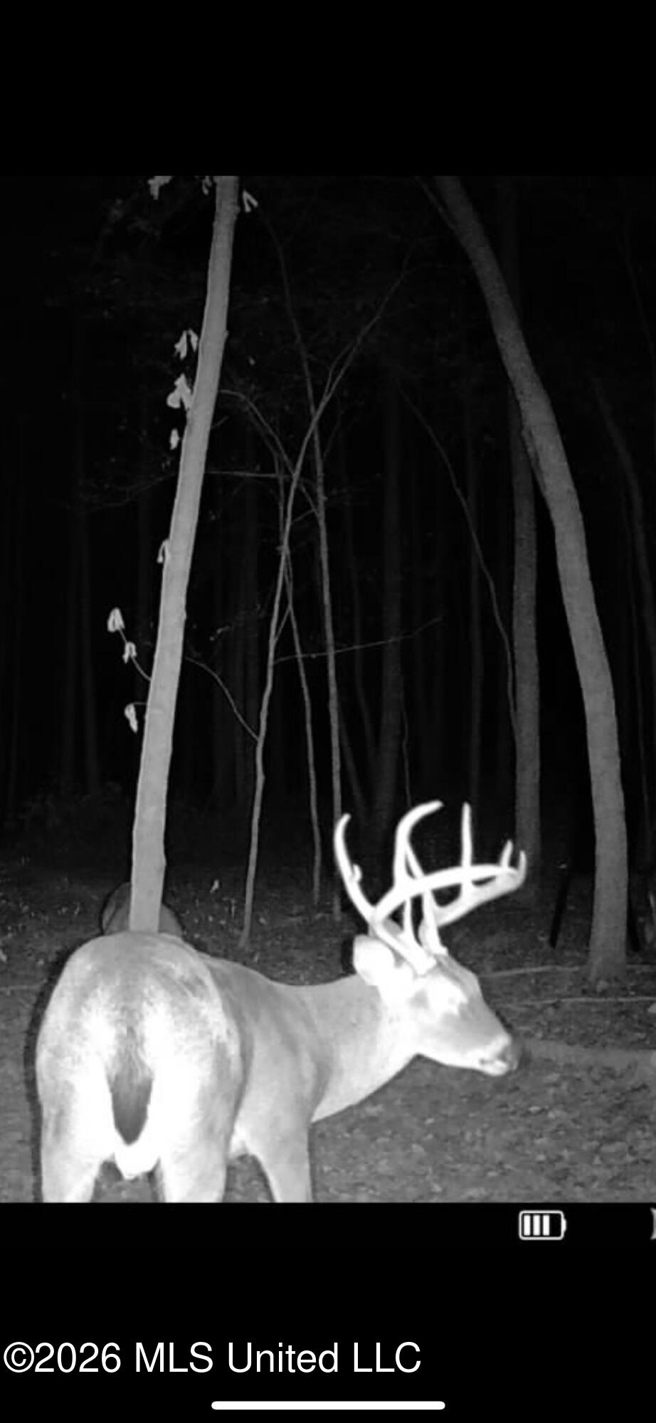 2698 Bethel Church Road Grenada, MS 38901 - Photo 41 of 50 IMG_6683