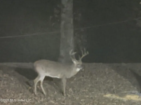 $255,000 | 2698 Bethel Church Road, Grenada, MS 38901