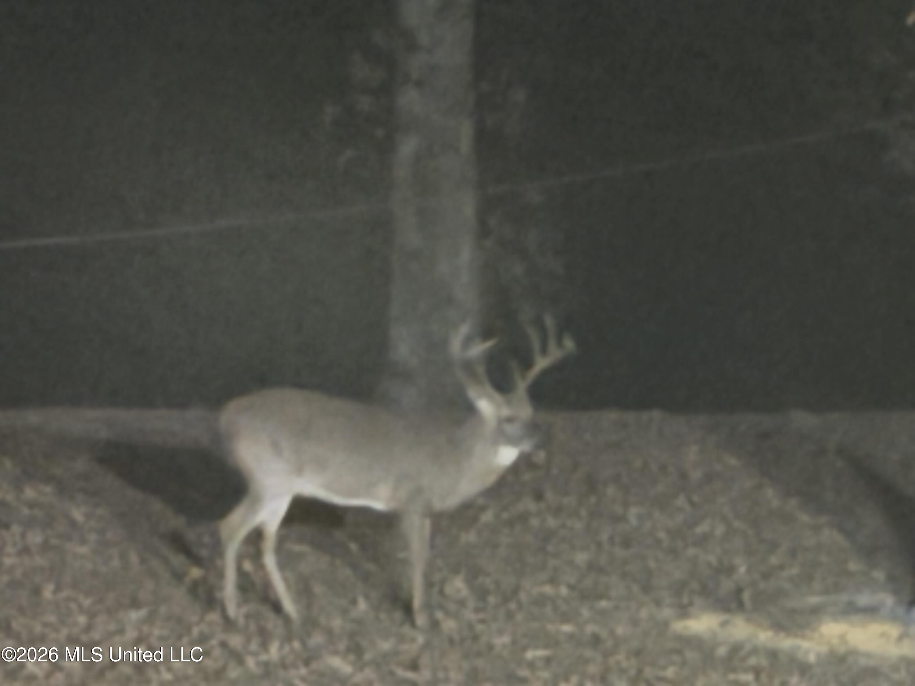 2698 Bethel Church Road Grenada, MS 38901 - Photo 42 of 50 IMG_8061