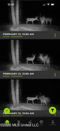 $255,000 | 2698 Bethel Church Road, Grenada, MS 38901