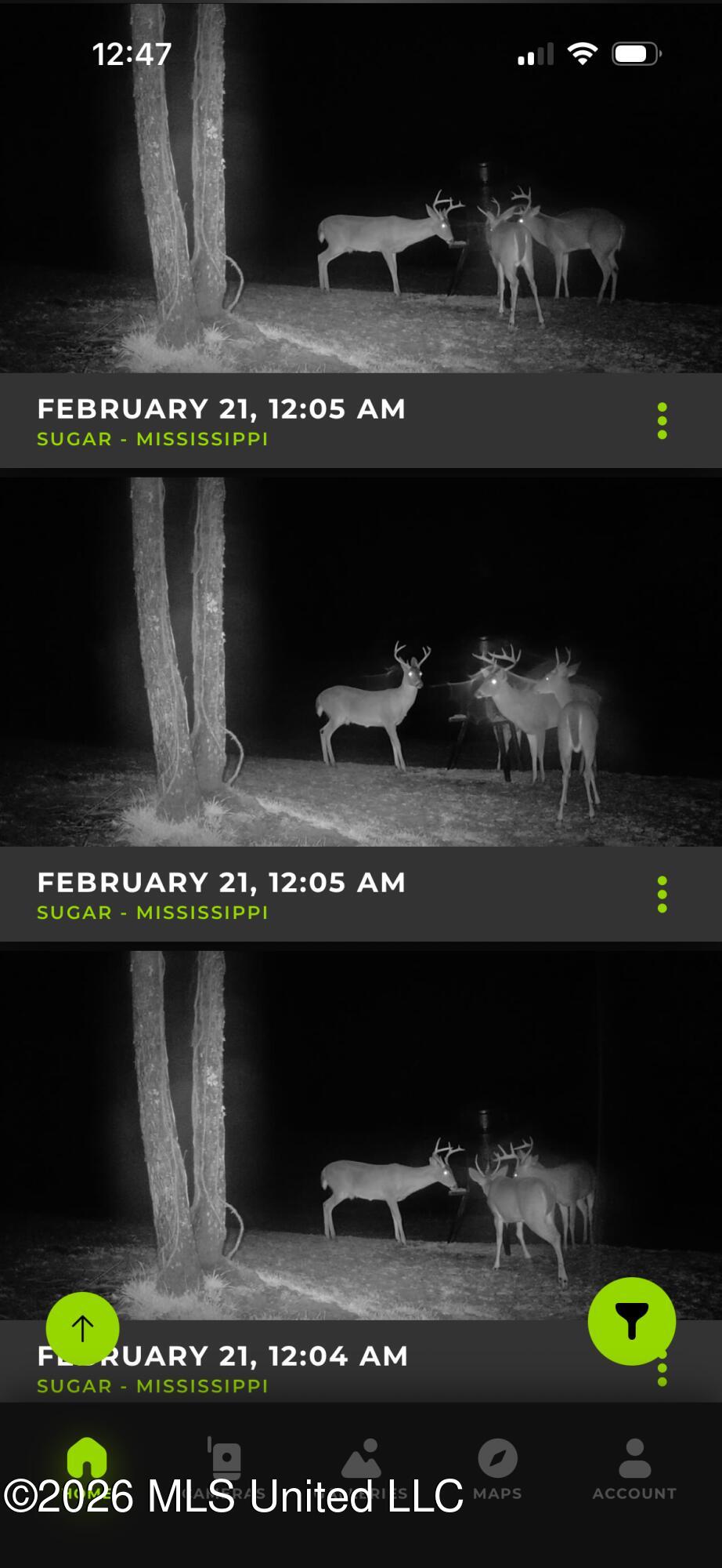 2698 Bethel Church Road Grenada, MS 38901 - Photo 43 of 50 IMG_8515