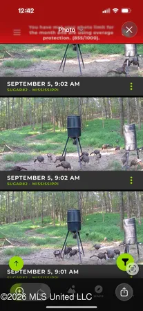 $255,000 | 2698 Bethel Church Road, Grenada, MS 38901