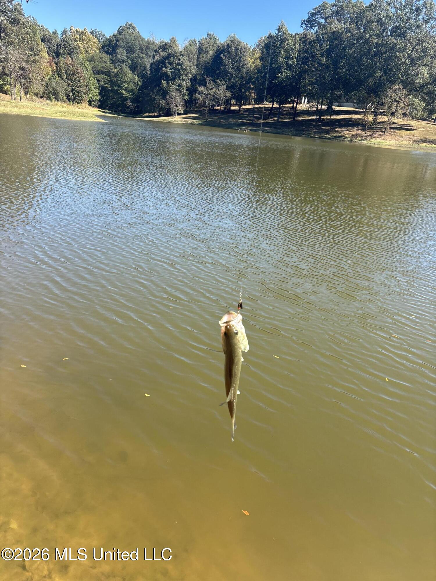 2698 Bethel Church Road Grenada, MS 38901 - Photo 46 of 50 IMG_7901