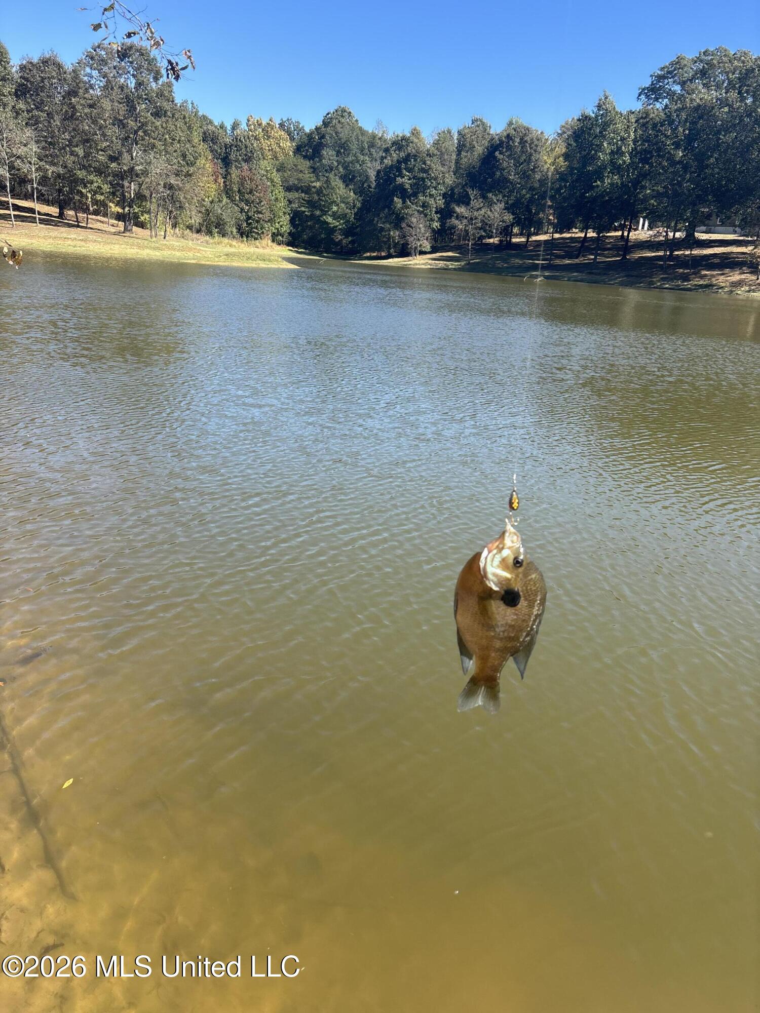 2698 Bethel Church Road Grenada, MS 38901 - Photo 47 of 50 IMG_7902