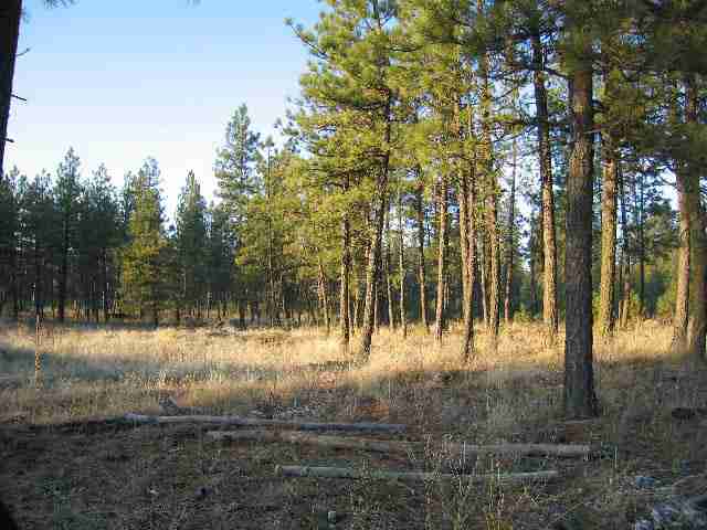16810 South Malloy Prairie Road Cheney, WA 99004 - Photo 3 of 4