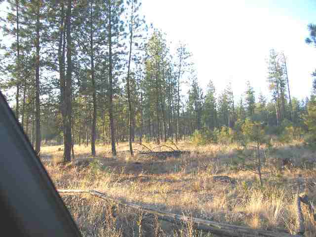 16810 South Malloy Prairie Road Cheney, WA 99004 - Photo 4 of 4