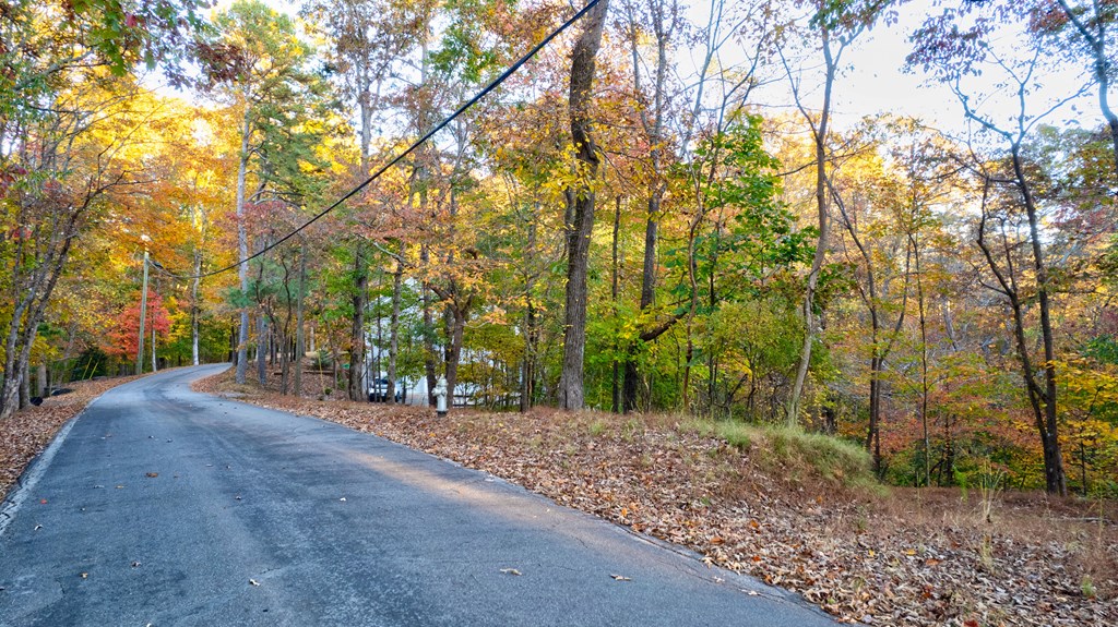Lot 422 Zeblin Road Ellijay, GA 30540 - Photo 7 of 13 Gallery Image 7