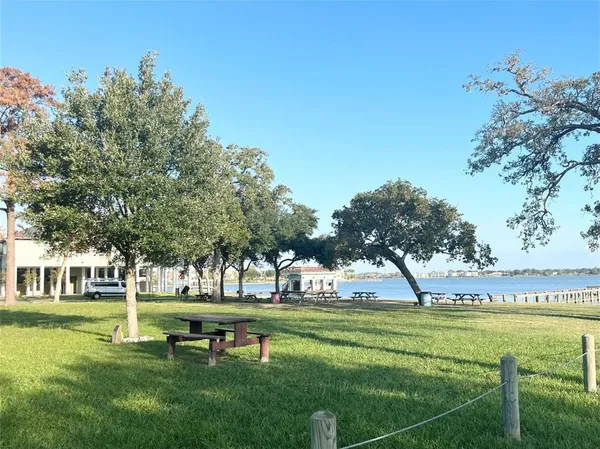a view of a park with large trees