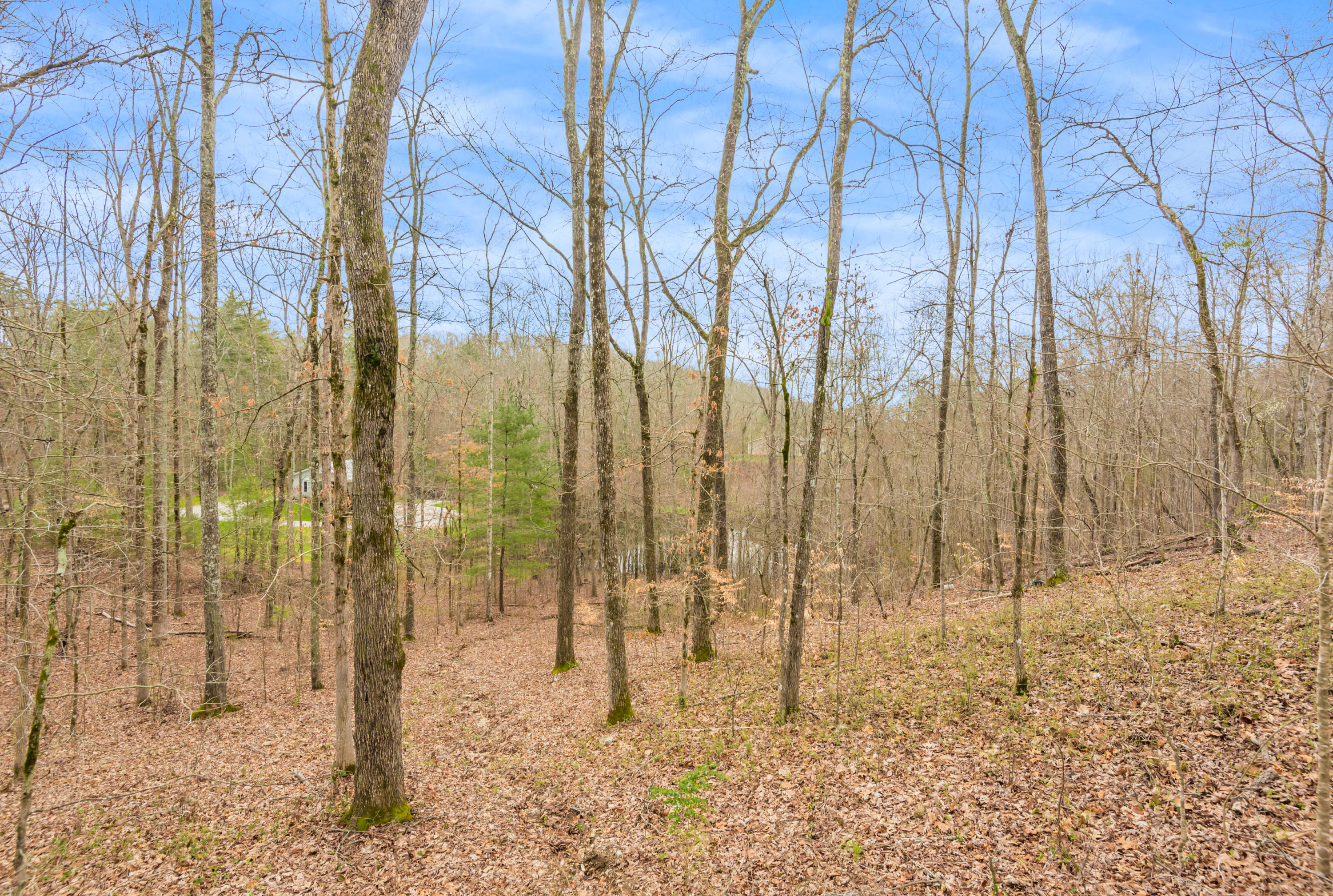 115 Deer Run Ridge Road Kingston, TN 37763 - Photo 25 of 29 115DeerRunRidge1-11