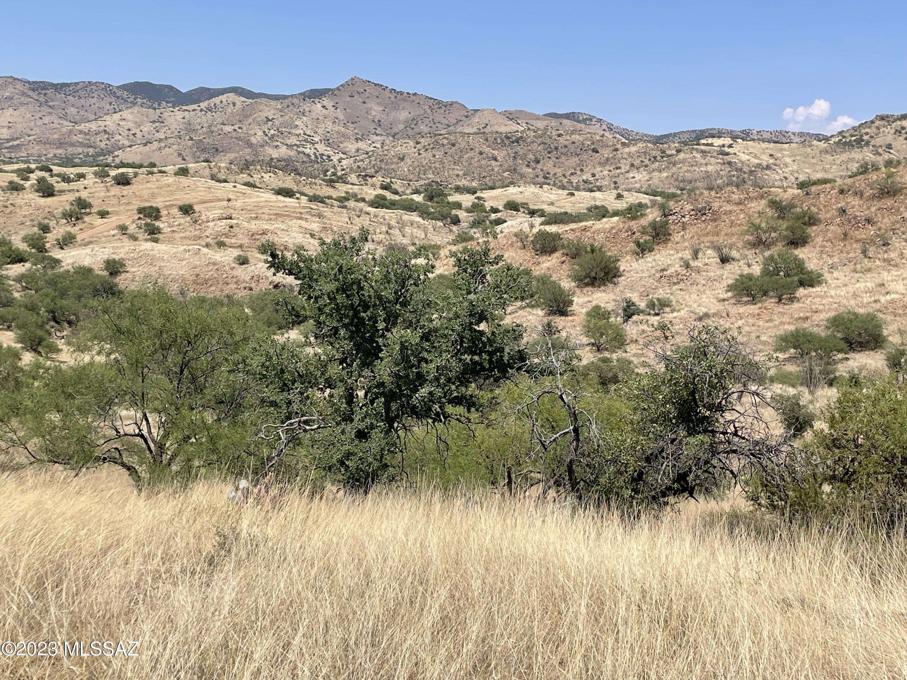 0 Montezuma Well Road, Unit 162 Rio Rico, AZ 85648 - Photo 12 of 26
