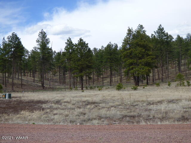 Lot 1 The Ranch Alpine, AZ 85920 - Photo 1 of 25