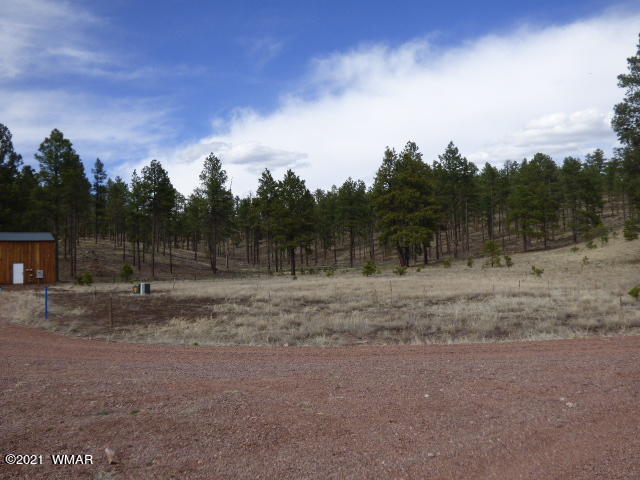 Lot 1 The Ranch Alpine, AZ 85920 - Photo 2 of 25